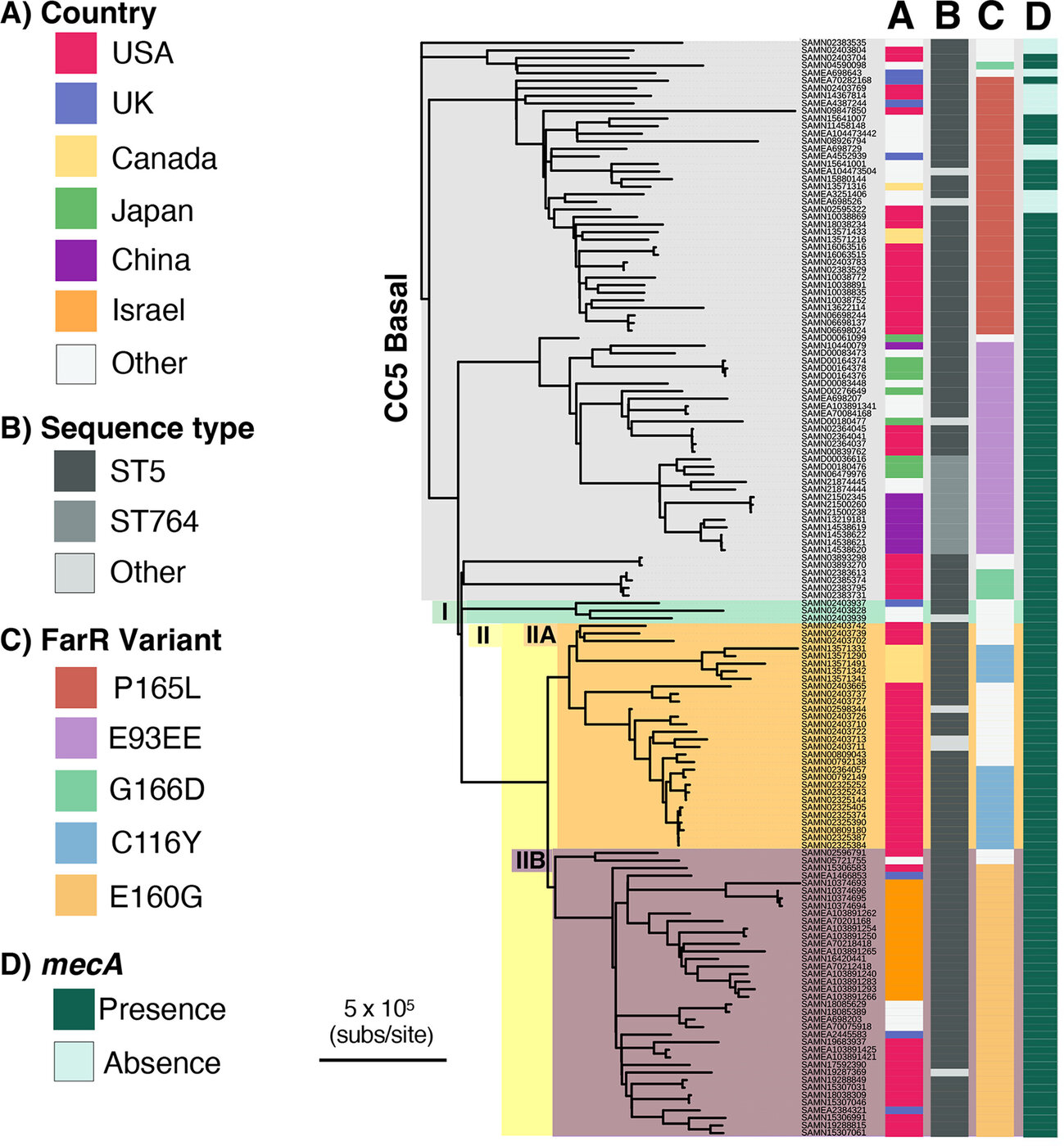 Figure 2 from Bonn et al. 2023: phylogenetic tree of the S. aureus CC5 population showing distribution of FarR variants, country, sequence type, and mecA presence.